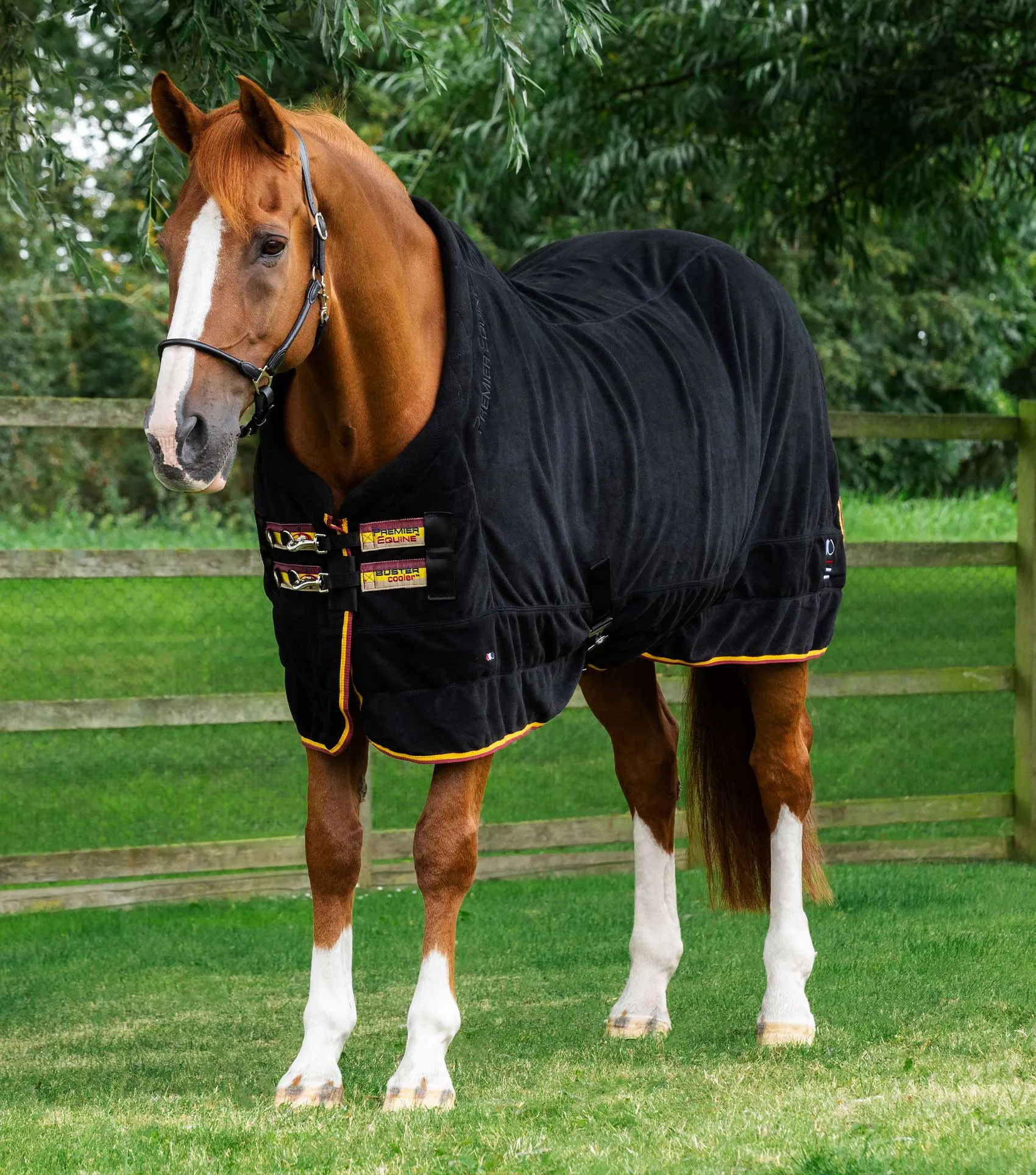 Buster Fleece Cooler Rug - Continental Edition Black