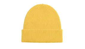 Colorful Standard Merino Wool Beanie