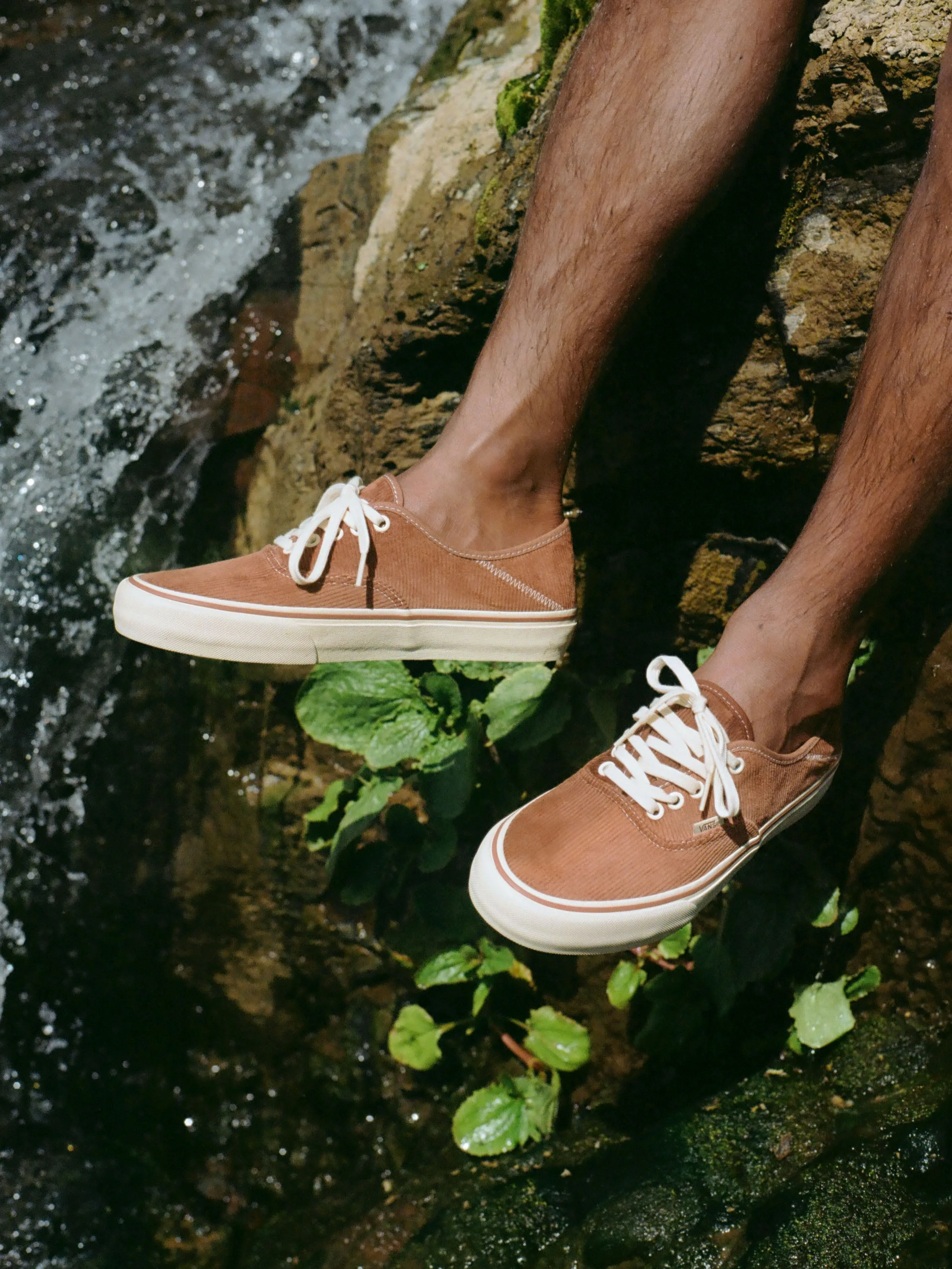 Vans / Mollusk Authentics SF