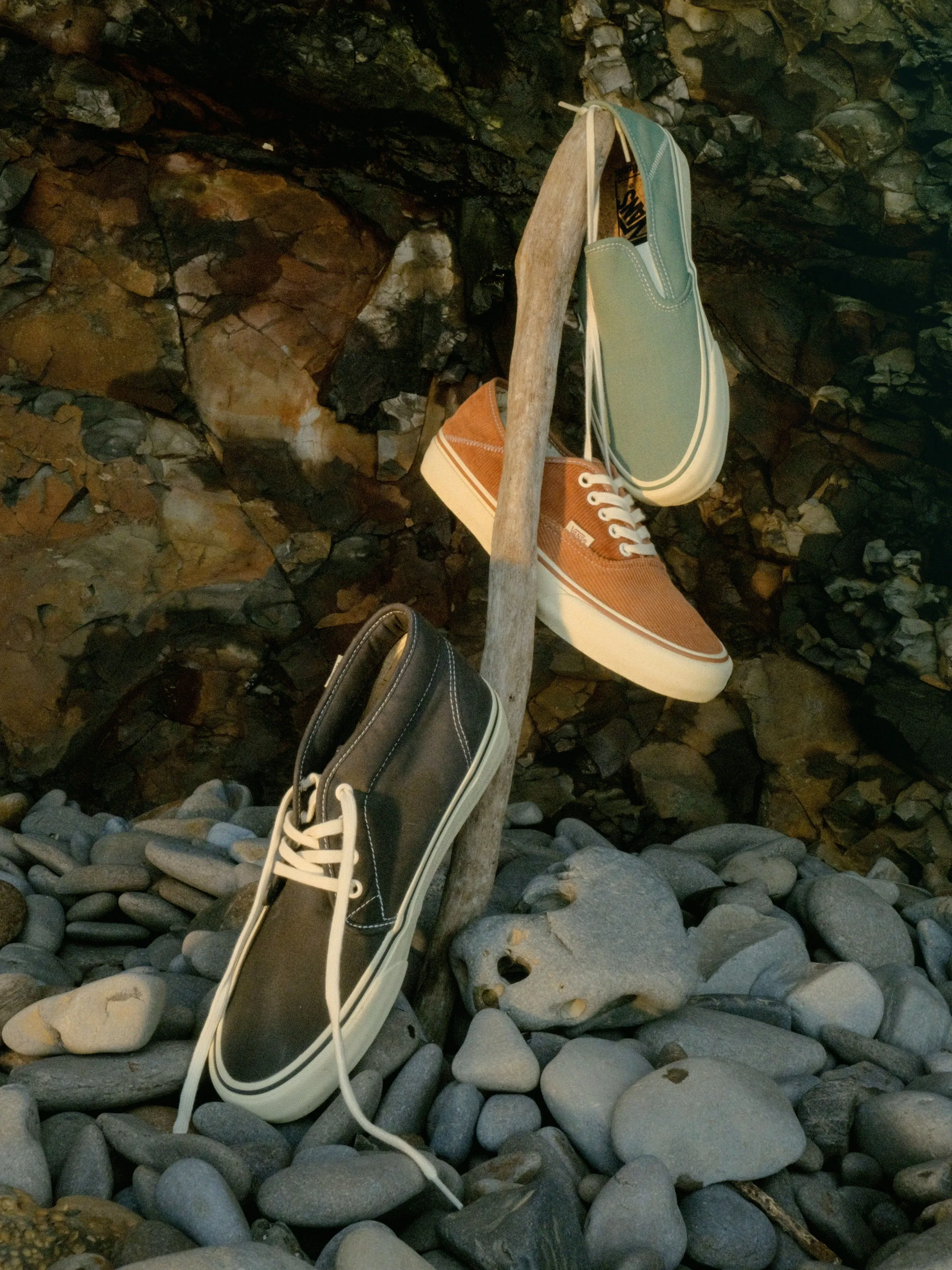 Vans / Mollusk Authentics SF