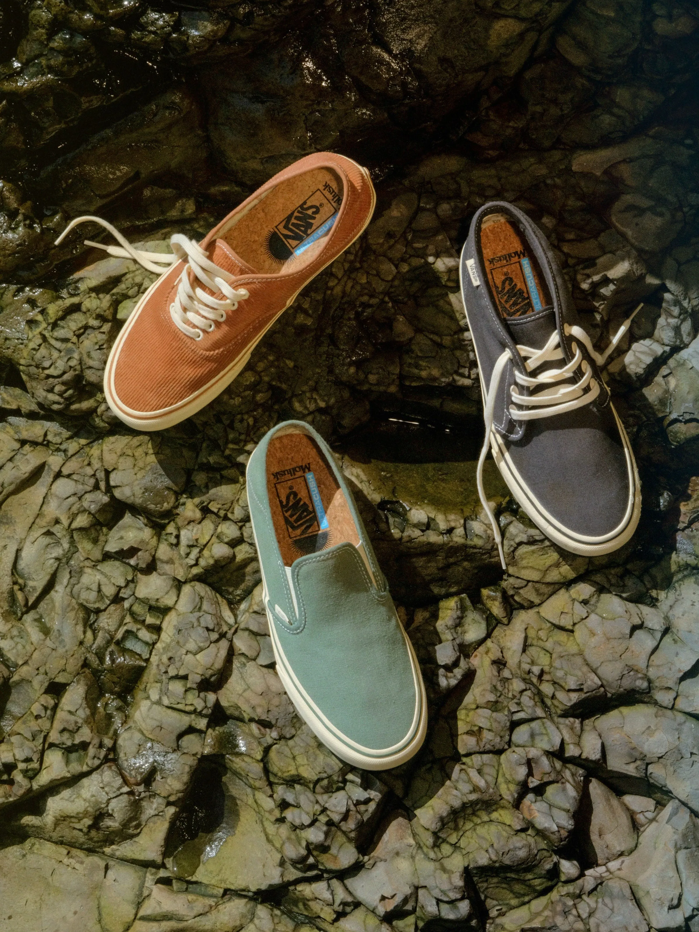 Vans / Mollusk Authentics SF