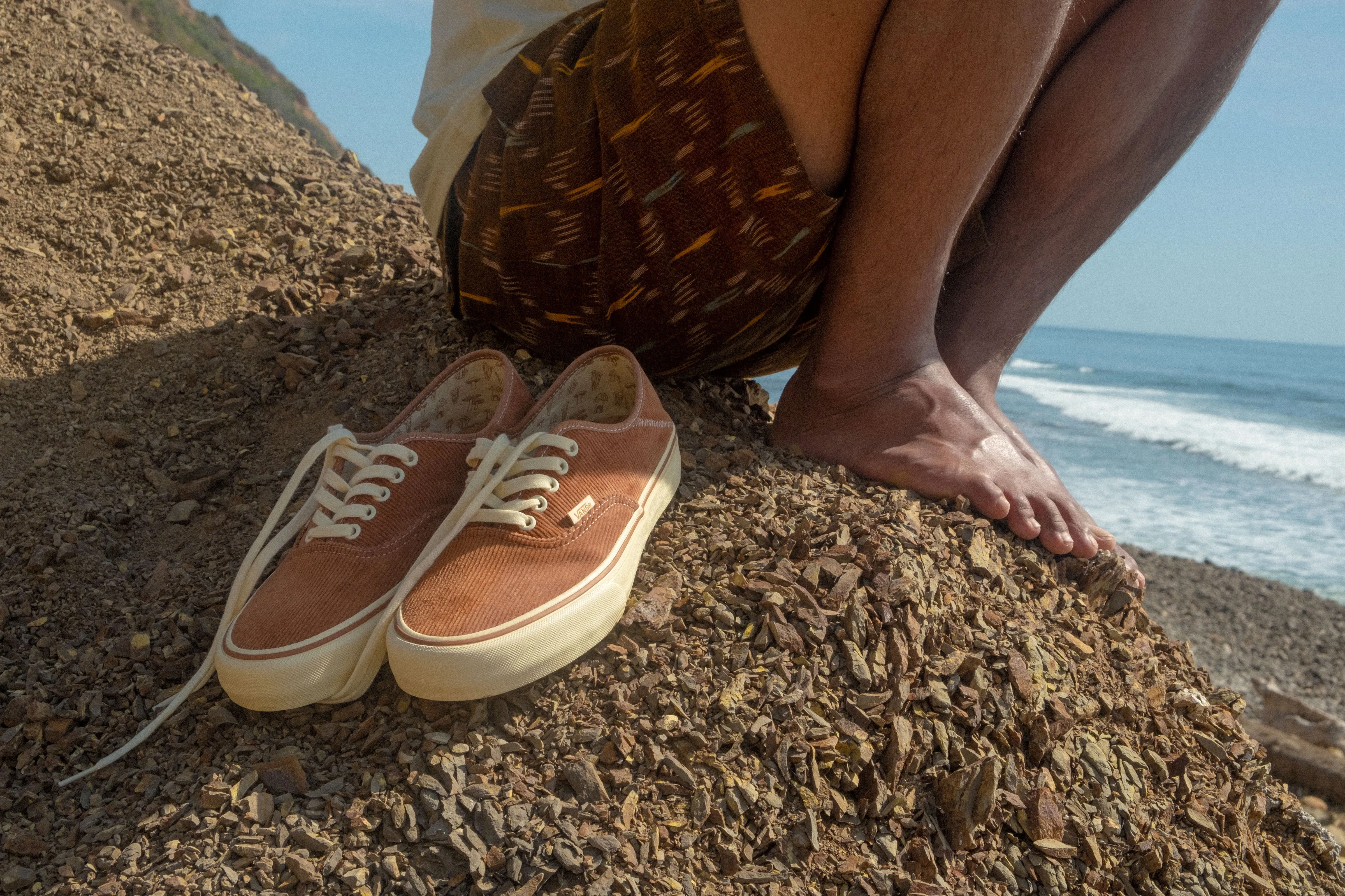 Vans / Mollusk Authentics SF